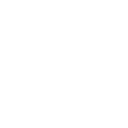 play button